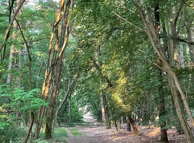 아파트 Unter Den Linden