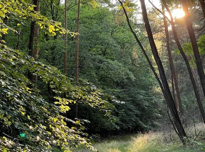 شقة Unter Den Linden